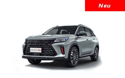 Fengon 600 Premium