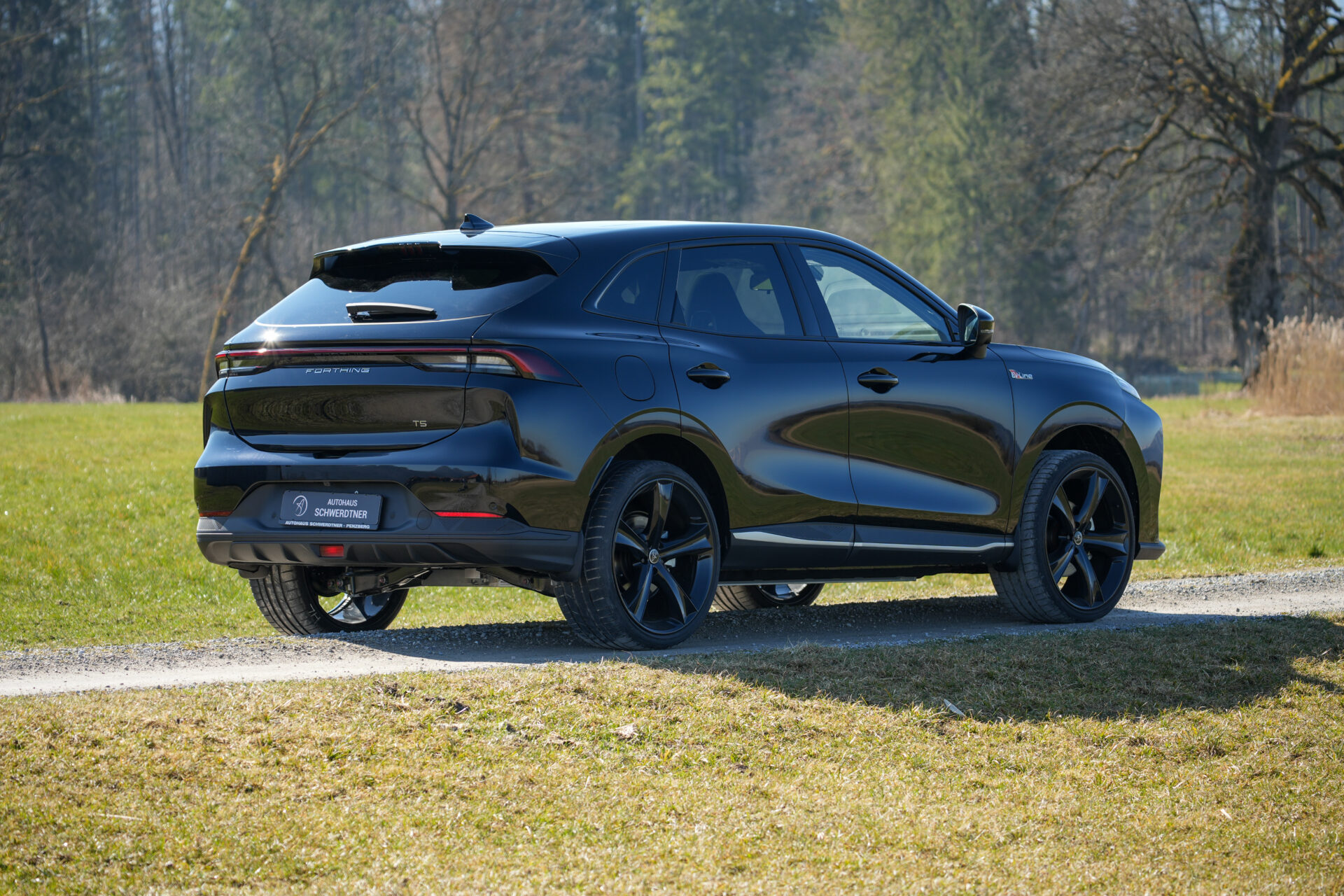 Forthing 5 Elektro - Bild 14