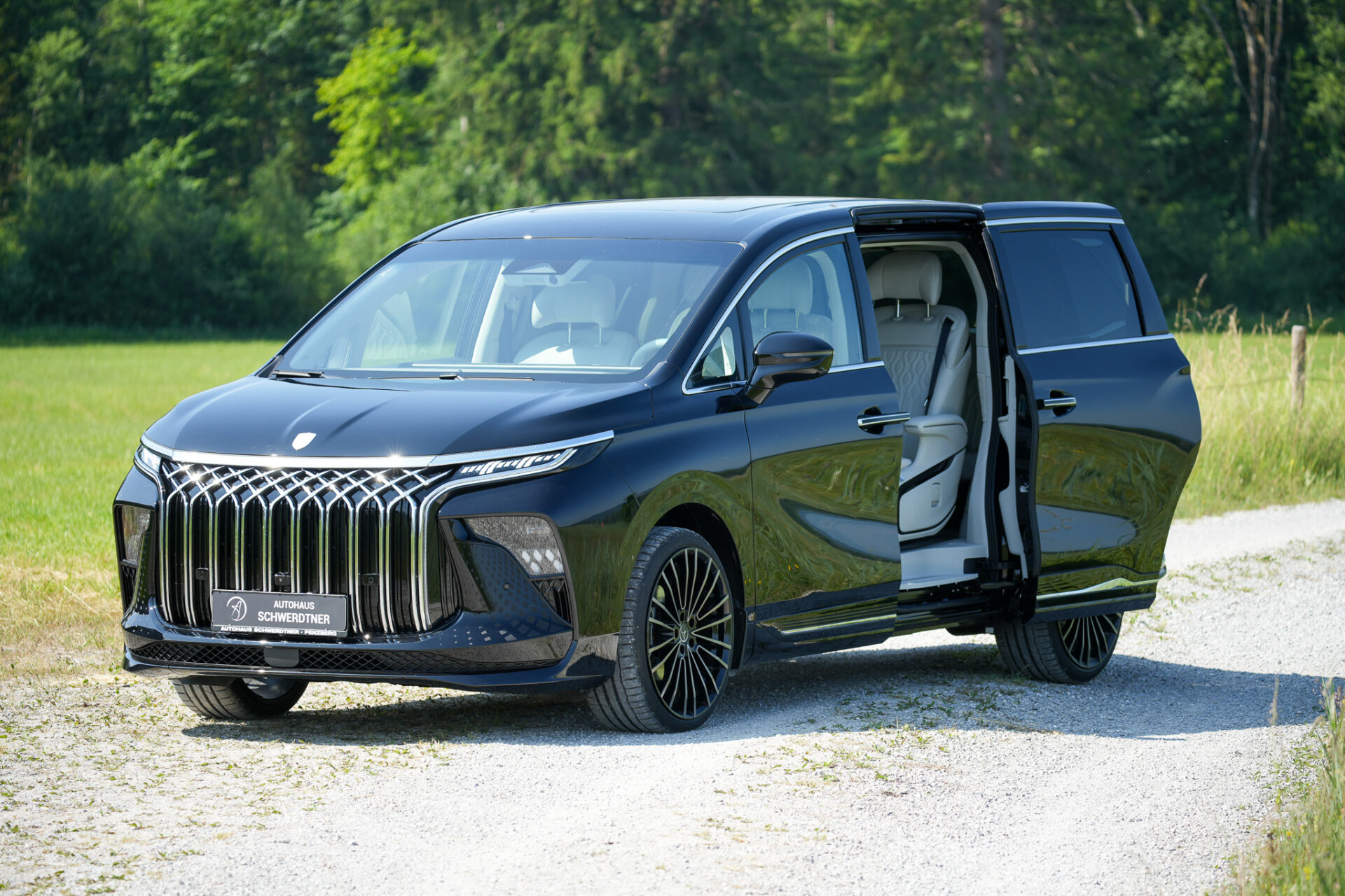 Forthing 9 HEV - Bild 1