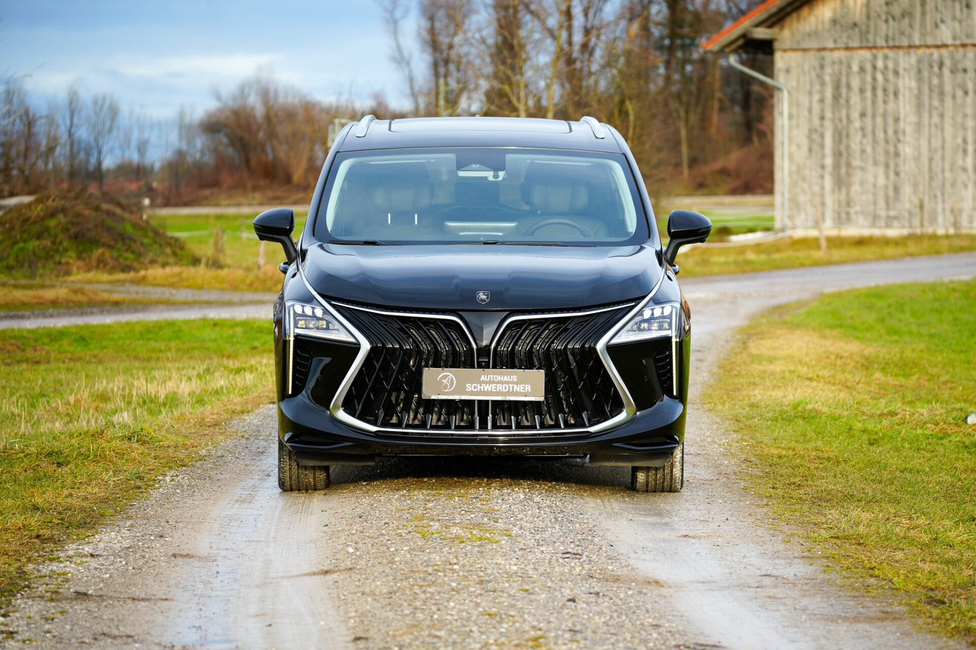 Forthing 4 PHEV - Bild 9