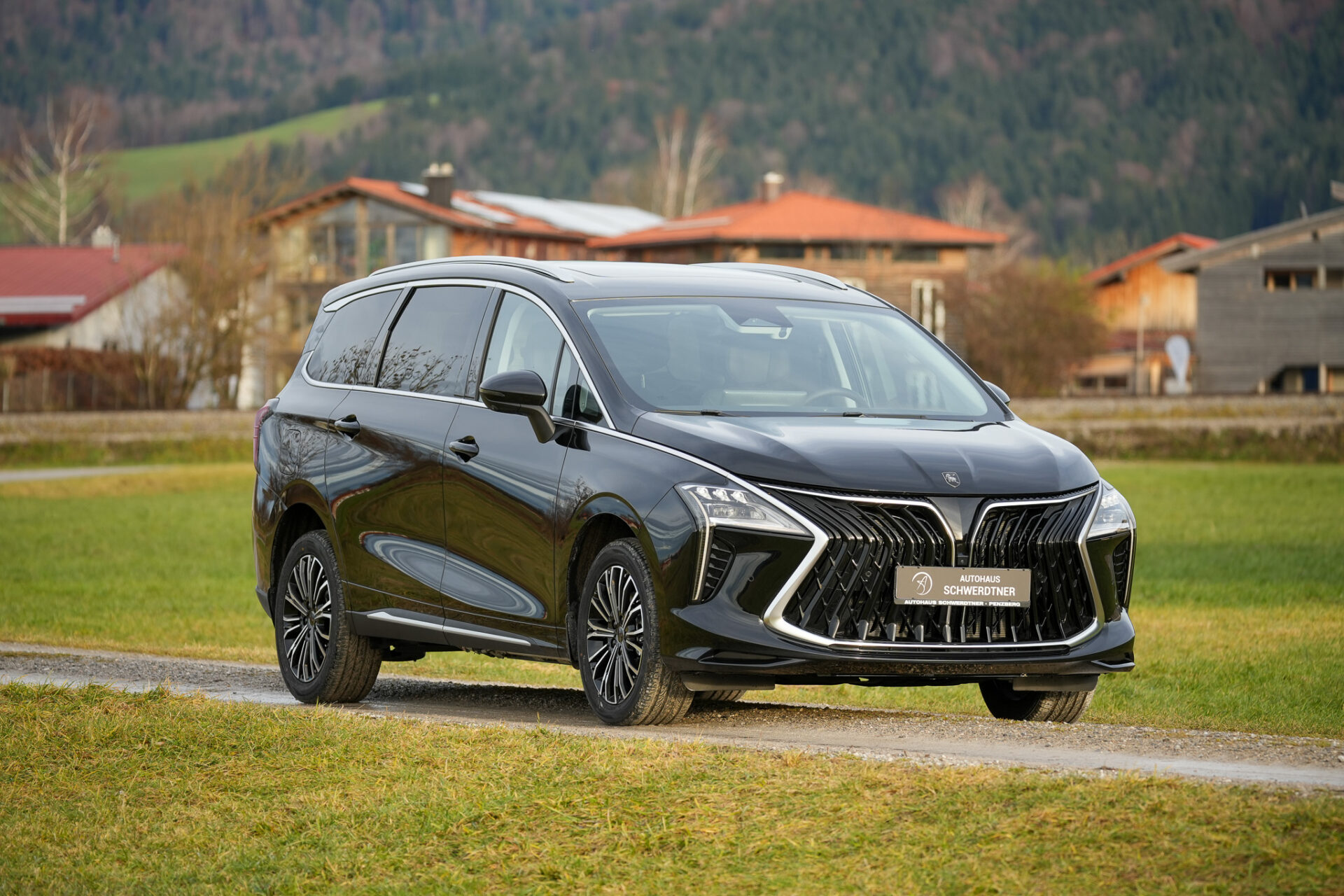 Forthing 4 PHEV - Bild 8