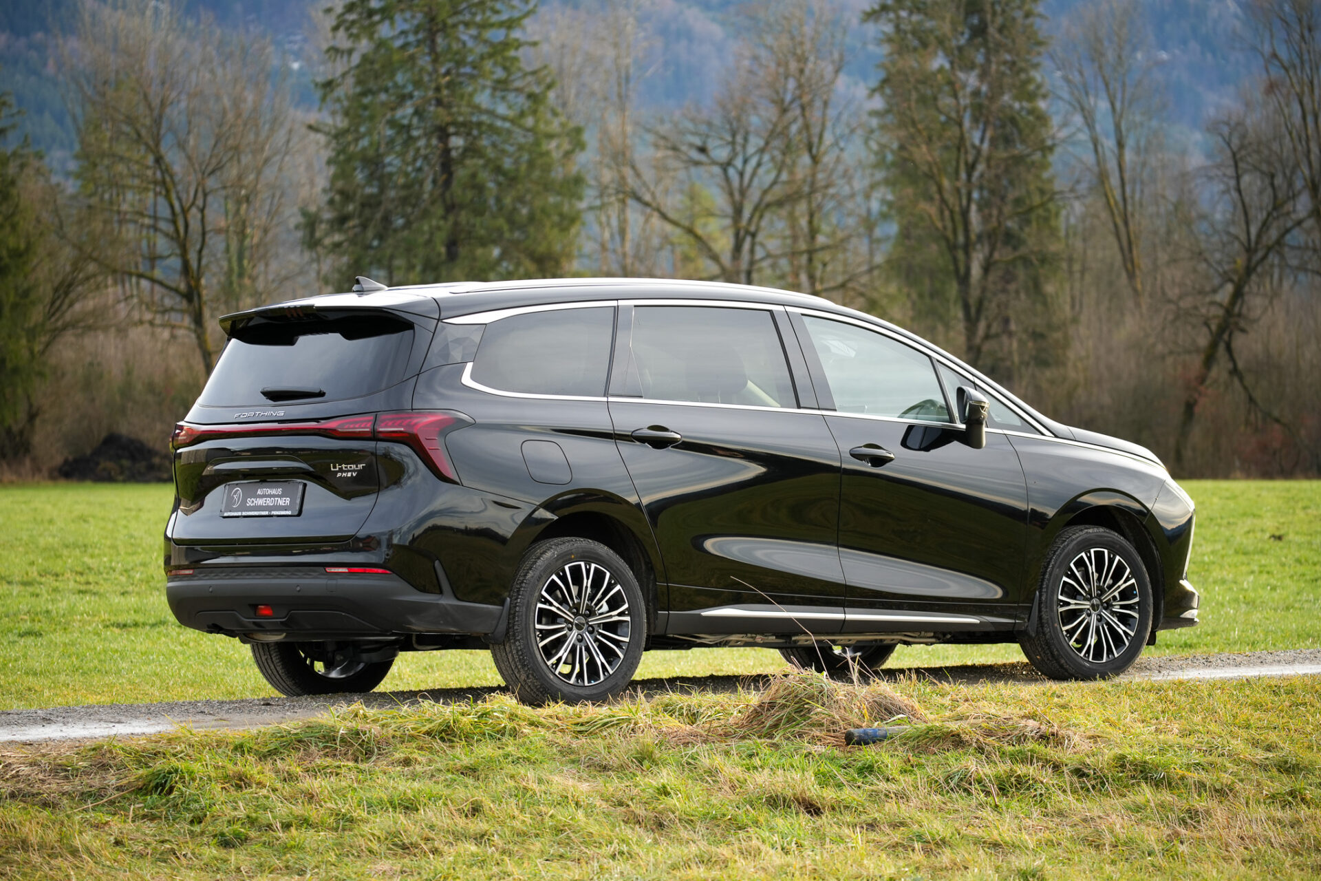 Forthing 4 PHEV - Bild 5