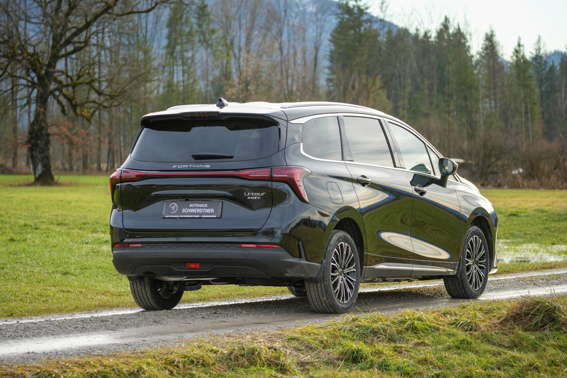 Forthing 4 PHEV - Bild 4