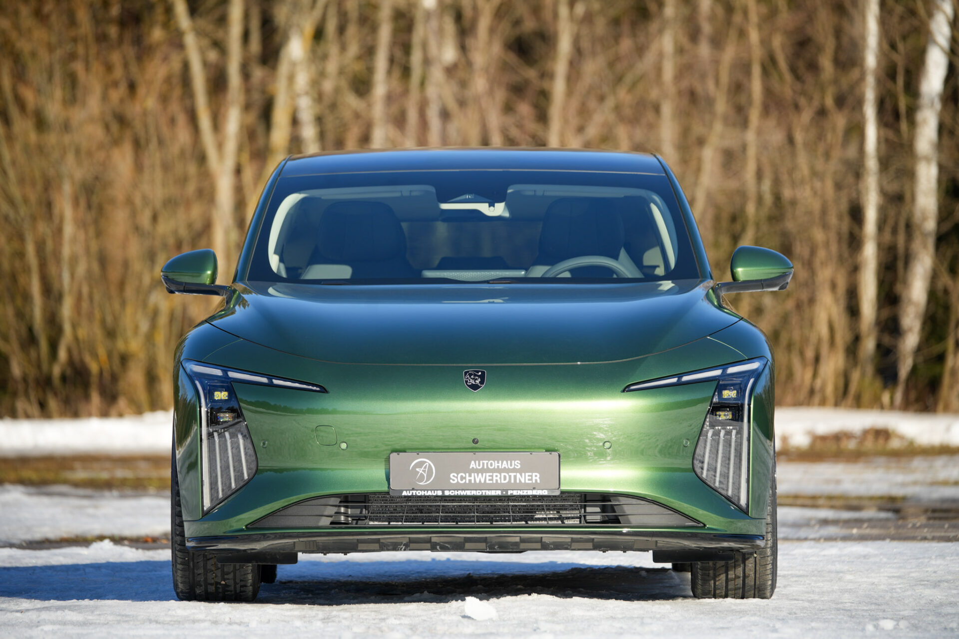 Forthing 7 REEV - Bild 54