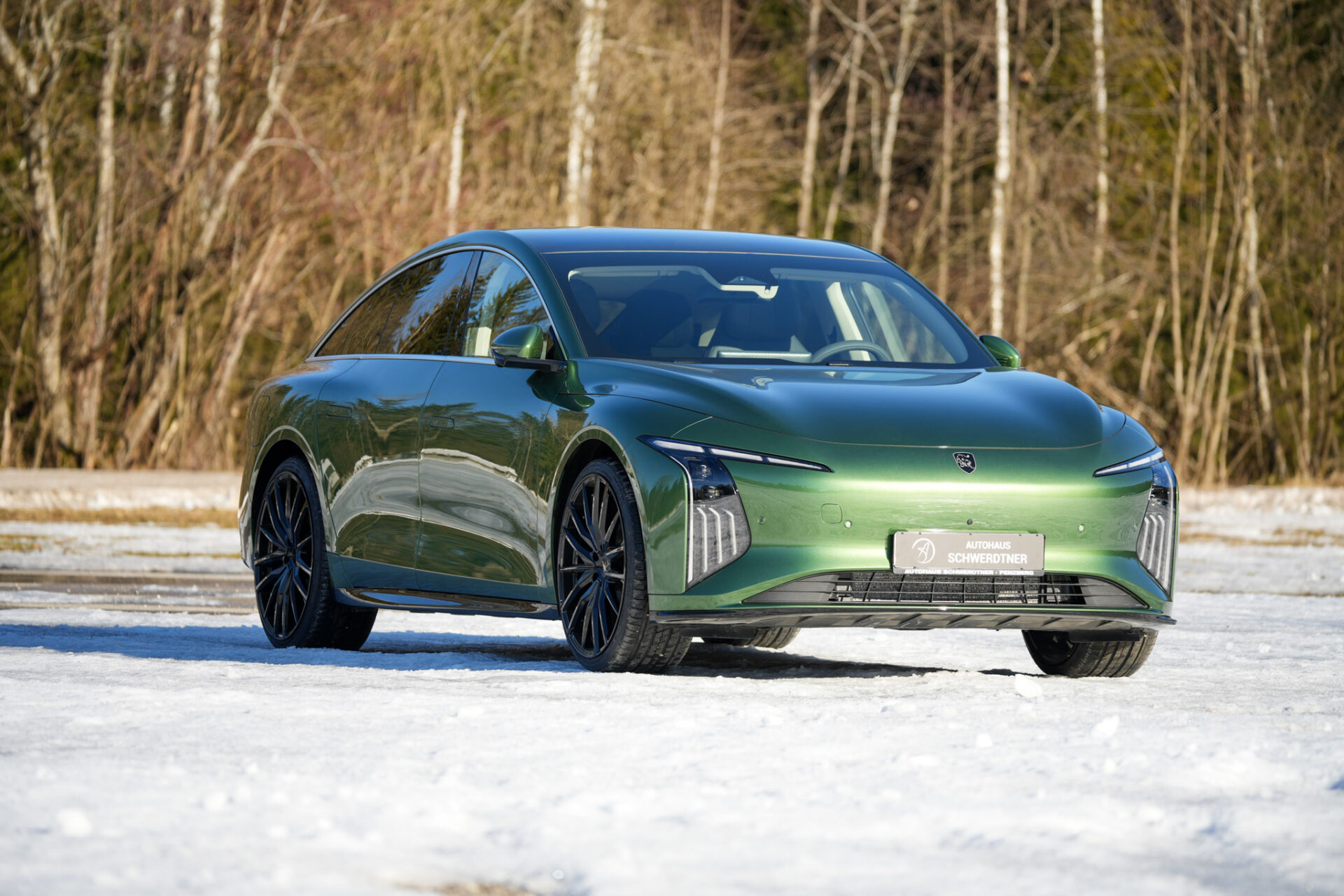 Forthing 7 REEV - Bild 53