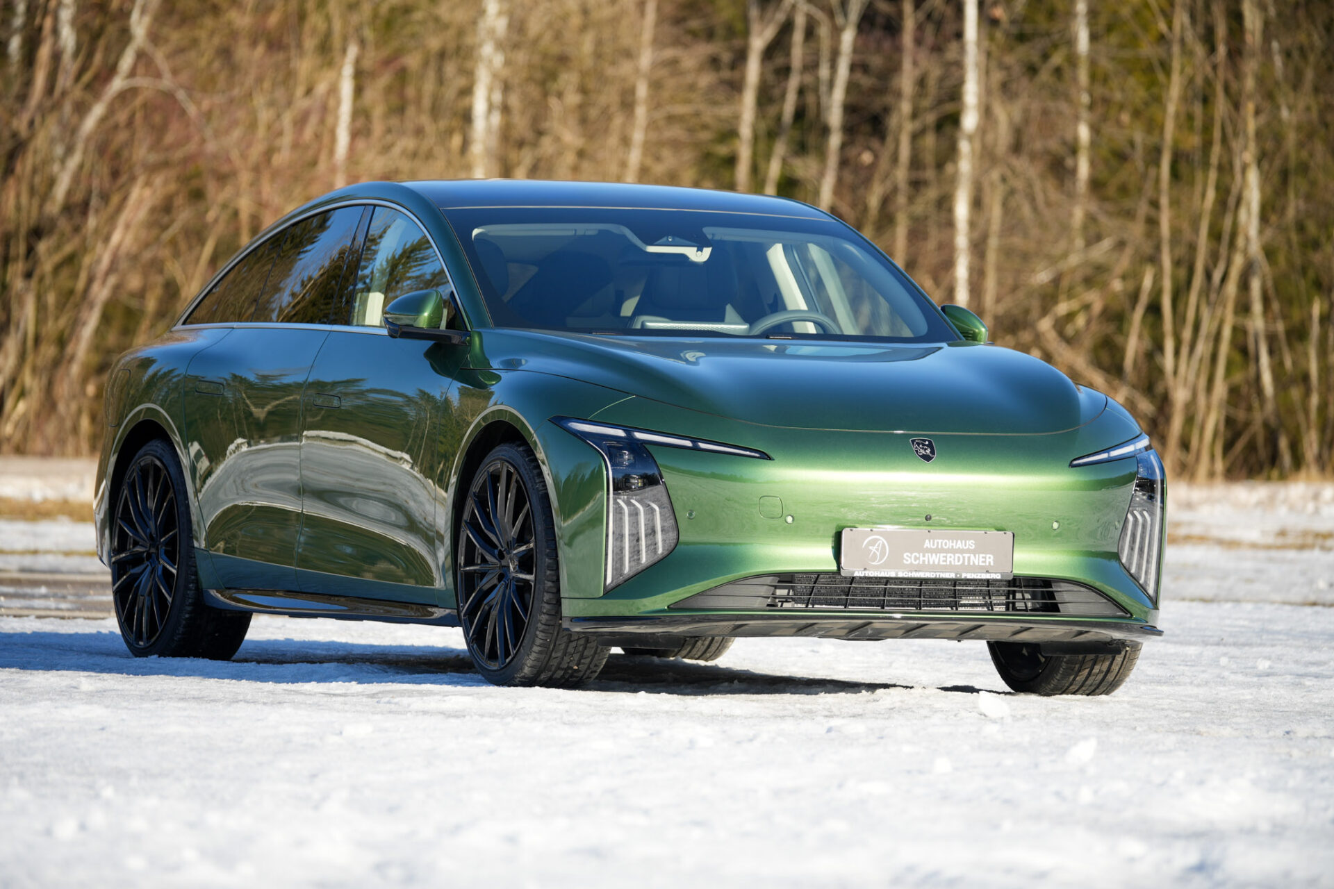 Forthing 7 REEV - Bild 52