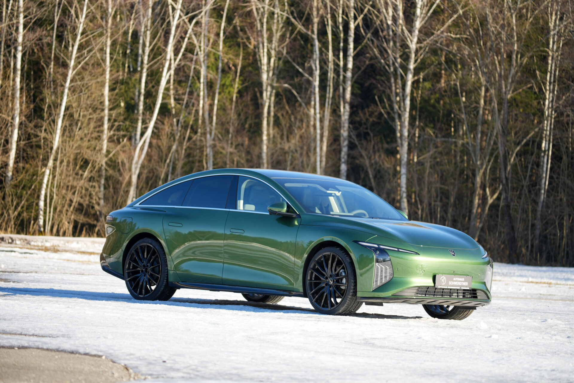 Forthing 7 REEV - Bild 50