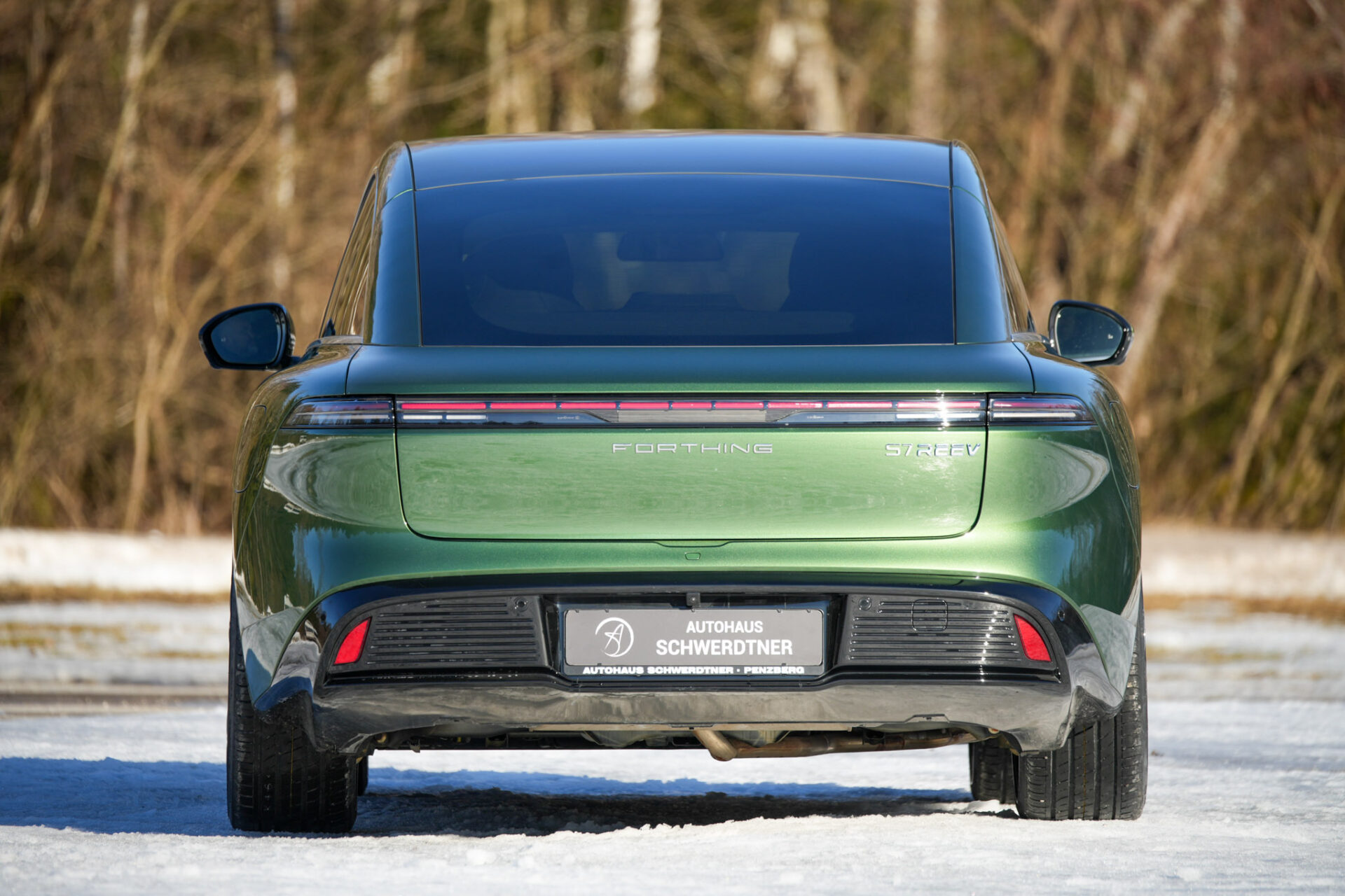 Forthing 7 REEV - Bild 47