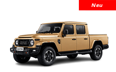 BAW 212 Pickup ab 41.995€